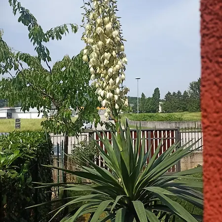 Cjase Paola 公寓 Cassacco