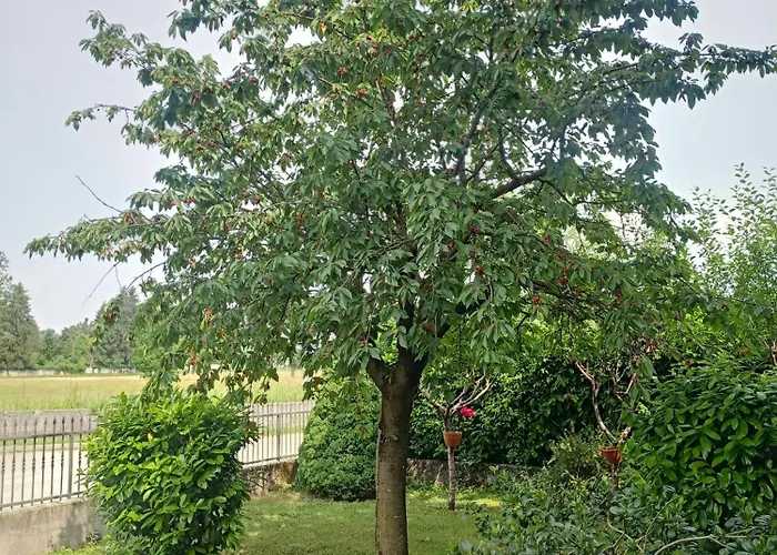 Appartement Cjase Paola Cassacco